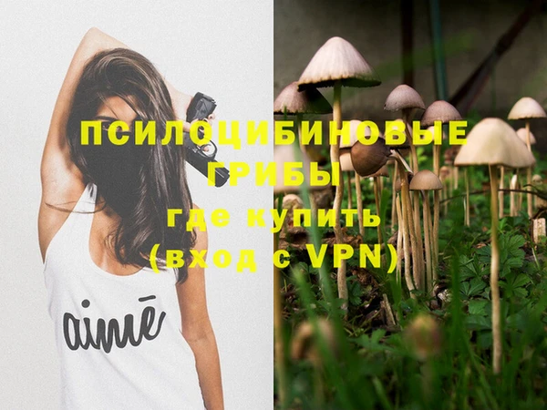 тгк Няндома