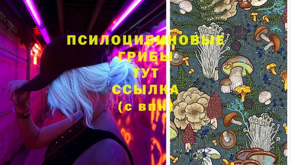 ECSTASY Мегион