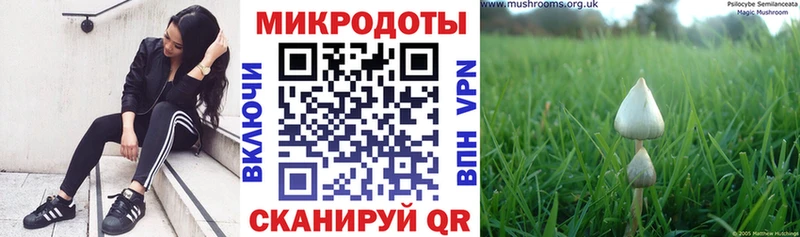 Псилоцибиновые грибы Cubensis  наркота  дарк нет официальный сайт  Шали 