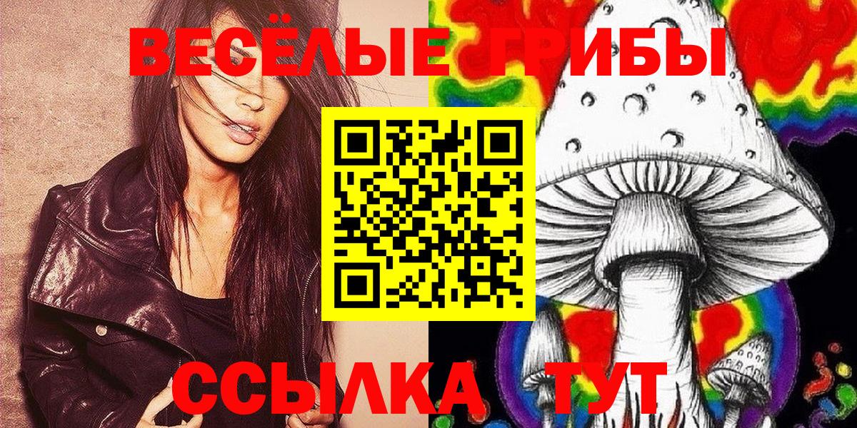 как найти   Шали  Галлюциногенные грибы GOLDEN TEACHER  Псилоцибиновые грибы ЛСД 