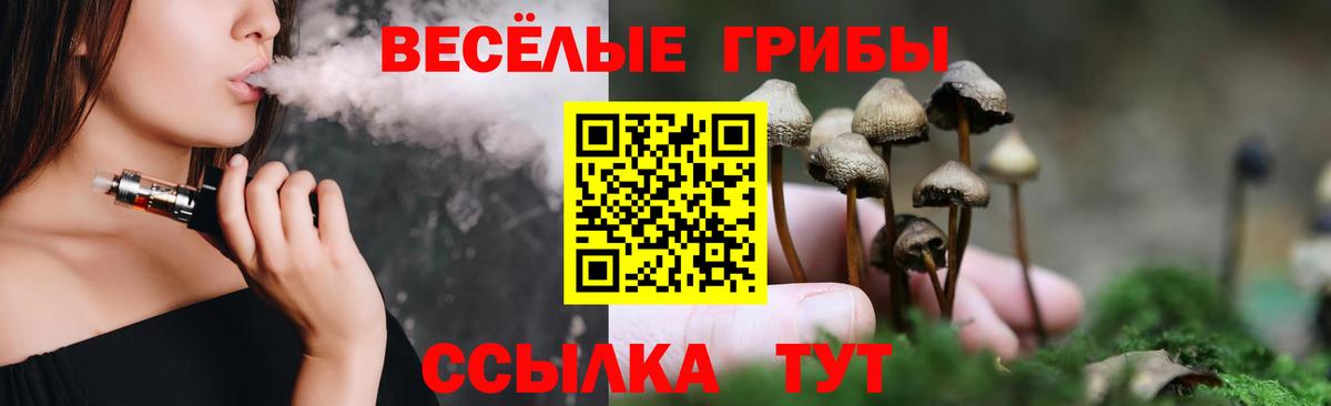 Галлюциногенные грибы Psilocybine cubensis  Вход с VPN  Галлюциногенные грибы Psilocybine cubensis  Шали 