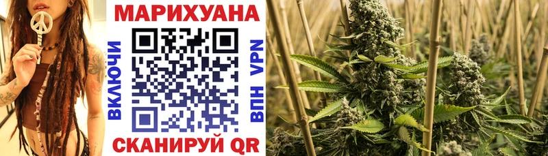Шишки марихуана Bruce Banner  сайты даркнета как зайти  Шали  даркнет сайт  мега вход 